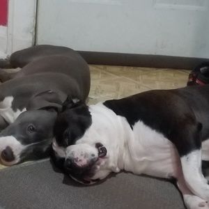 Dont Sleep On Low Prices